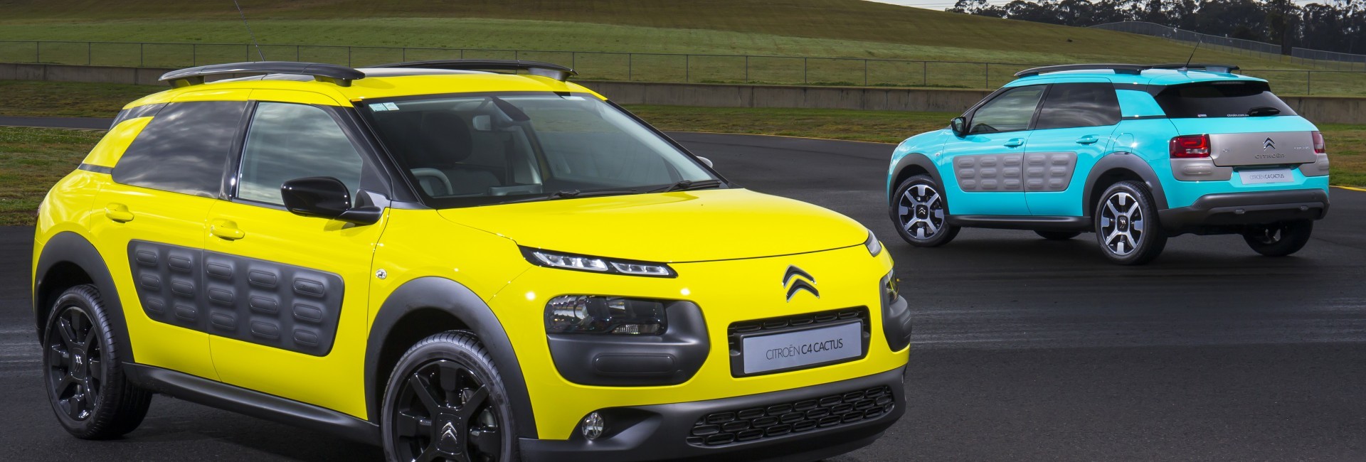 Citron C4 CACTUS